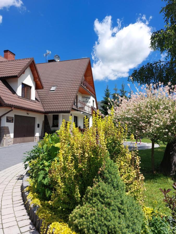 Czarna Jagoda Czarna Góra Esterno foto