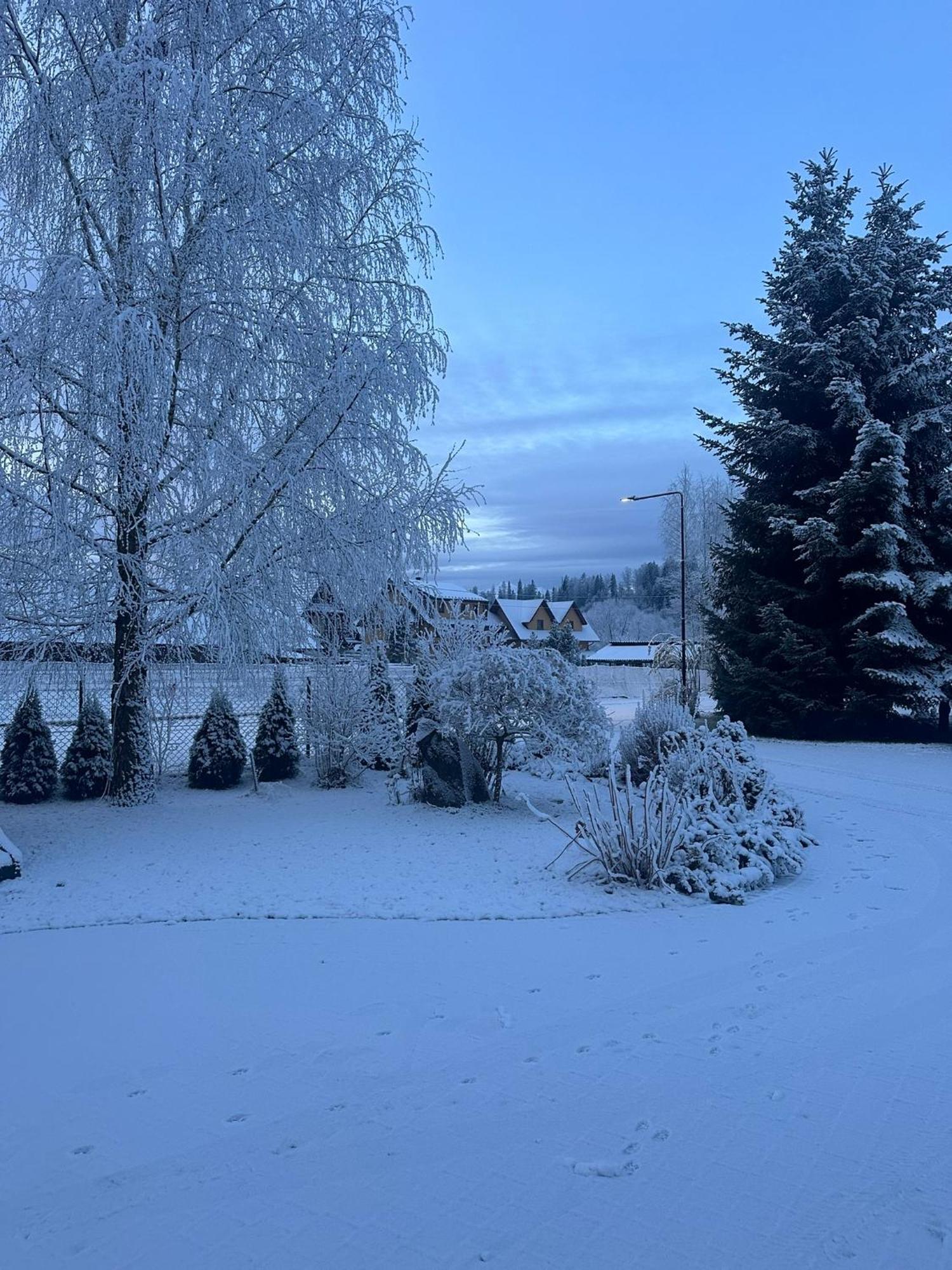 Czarna Jagoda Czarna Góra Esterno foto